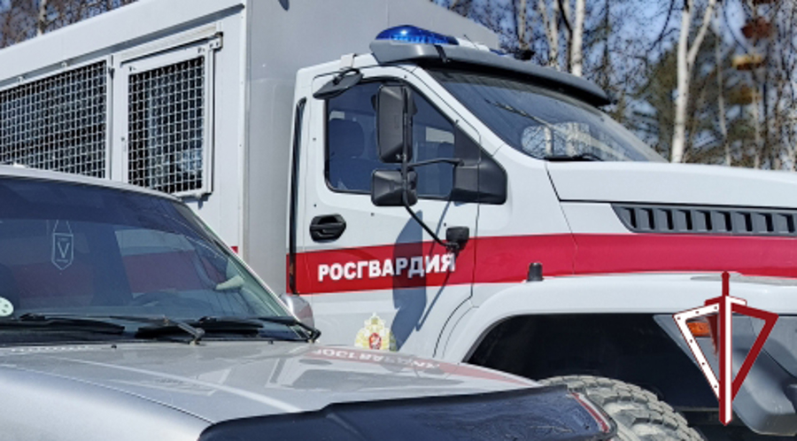 Сводка вневедомственной охраны