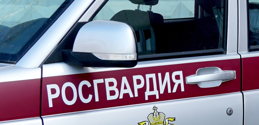 Безопасные праздники: Вневедомственная охрана подвела итоги первой недели года
